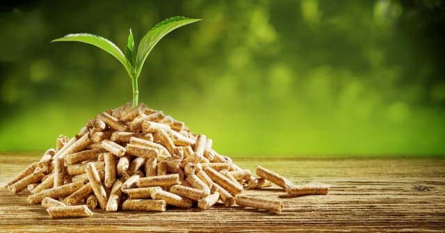 Ile dopłaty do pelletu można dostać? Sprawdź warunki i korzyści Ile dopłaty do pelletu można dostać? Sprawdź warunki i korzyści